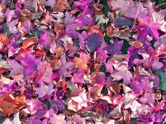 FMRConnecticut's profile picture. Connecticut branch of @FeedMyReadsUSA. Stay up-to-date with events and exciting book news in Connecticut. Tweets by @christina_love_