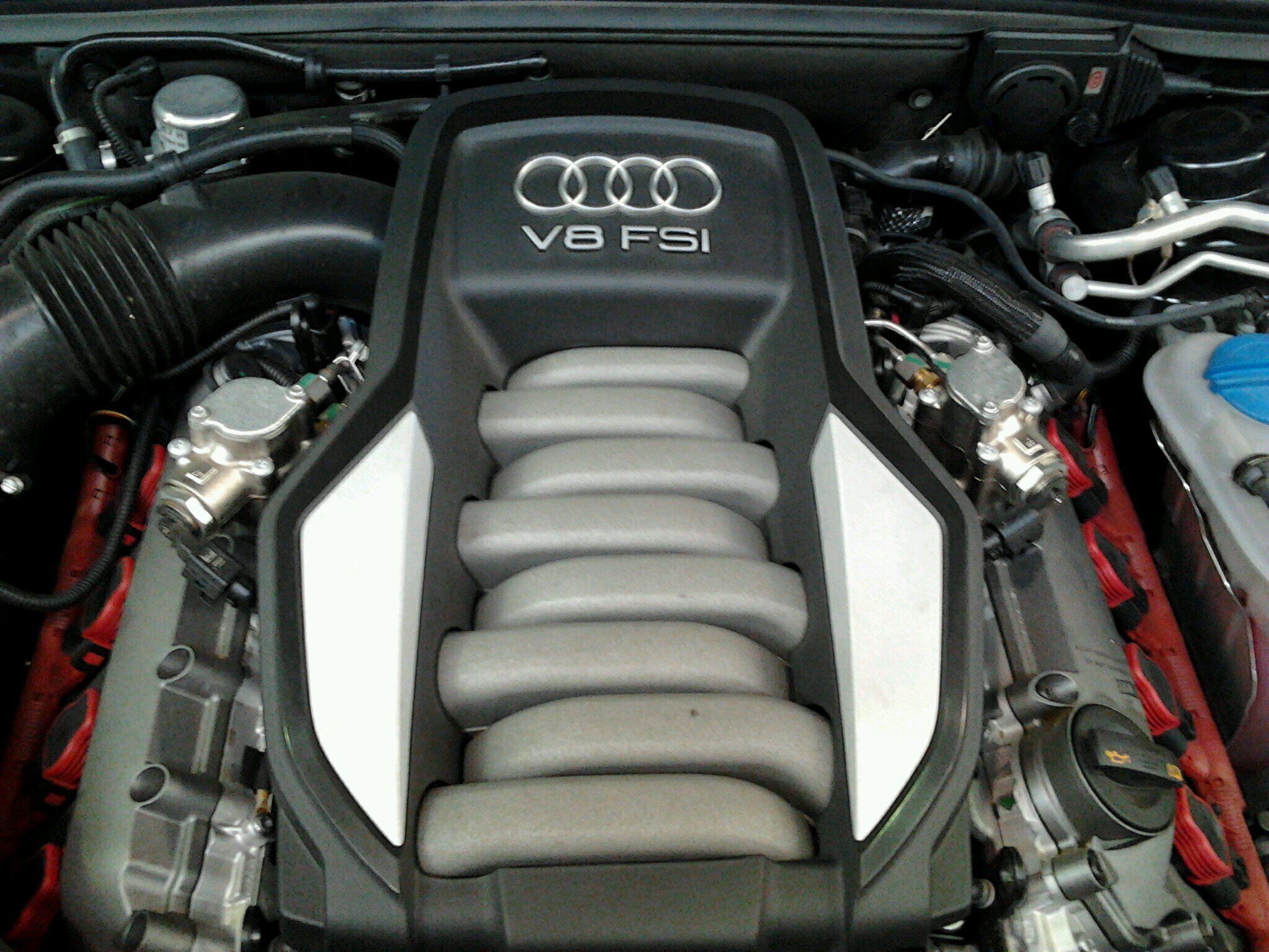 Mecánico de coches (Audi), Graduado en Derecho por la URJC. Curso Superior de Seguros por la UNED (Grupo A). Futuro escritor y Máster de Abogacía por la URJC.