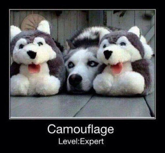 this is a writers account for a couple different rp accounts.....@mistreatedk @blindhavoc and @Numba_XIII are all my rp accounts