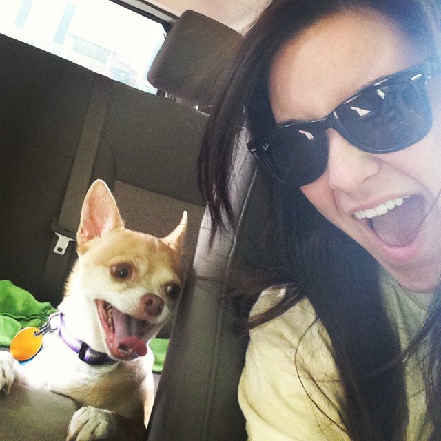 brittneydelmore's profile picture. Psalm 91:4