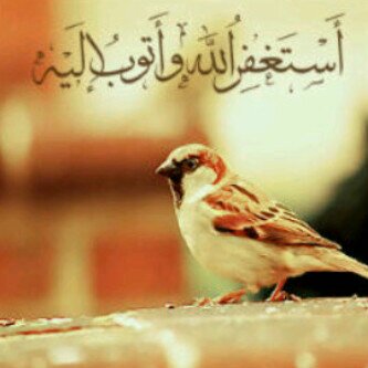 ادعوآ لصاحب هذآ الحساب بالرحمه ، فا انت اليوم تدعوا ف غدا يسخر الله لك من يدعوا لك ..