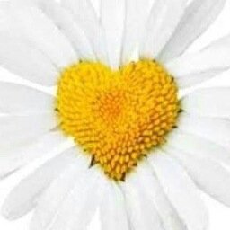 RachelleBree's profile picture. 