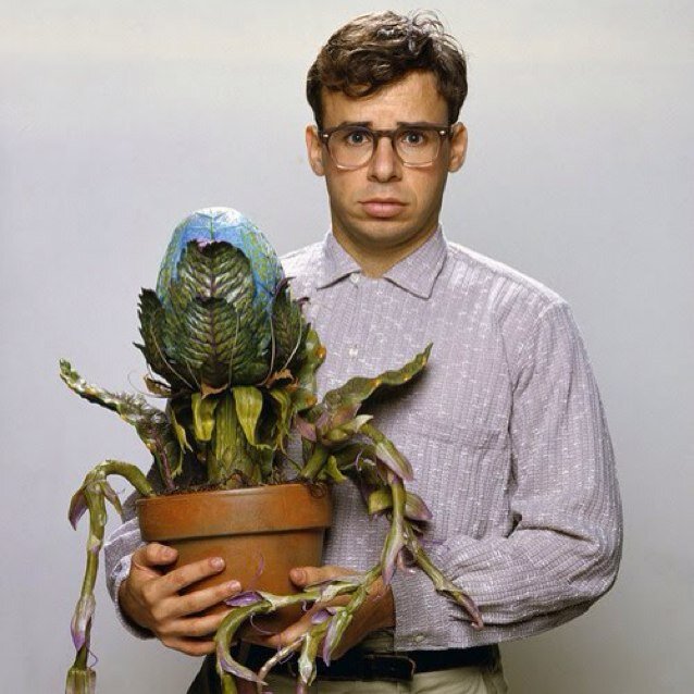 I'm Seymour and I accidently raised a killer plant. I'm not the perfect guy but will I do? (RP, fan account, MV)