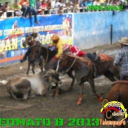 jhoart .. la revolucion ...soga cabresto y caballo....