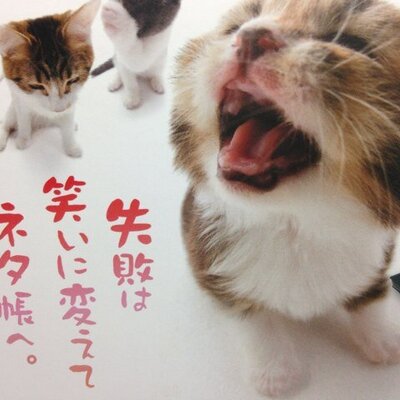 こずえ