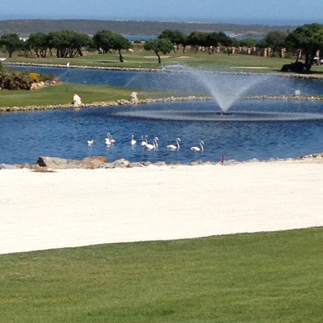LCE Homes Trust builds investment homes on the Langebaan Country Estate for sale to purchasers who wish to invest in this beautiful security estate