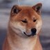 Such Reviews (@suchreviews) Twitter profile photo