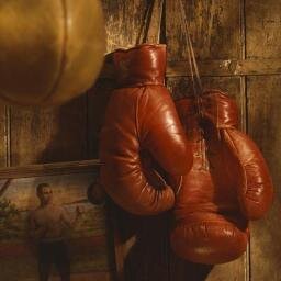 boxingexercises's profile picture. Boxing Exercises for cardio fitness and special purpose like weight loss or gain lean muscle mass. Visit. :)