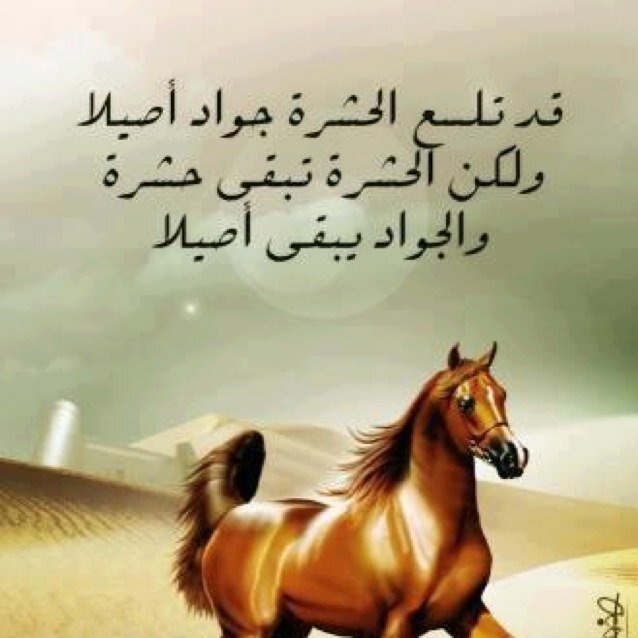 حب ما تعمل - كى تعمل ما تحب