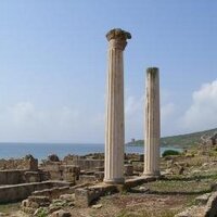 Tharros (@tharros) 's Twitter Profile