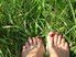 Contemplatif abasourdi quittant son carré d'herbe décroissant pour mettre les pieds dans le paf.