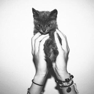 Jooj_017's profile picture. 