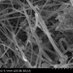 nanosafety research (@nanosafetyscot) Twitter profile photo nanosafety research (@nanosafetyscot) Twitter profile photo