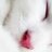 supermdh1's profile image