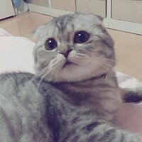 장나라 (Chang Na-Ra) (@narajjang318) 's Twitter Profile