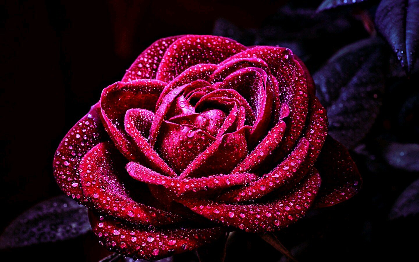 SkaistieRozes's profile picture. Tekstiņi ♥
Katram ir vienīgais Un katrs ir vienīgais. ♥ ♥ ♥ ♥ ♥ ♥ ♥ ♥ ♥ ♥ ♥ ♥