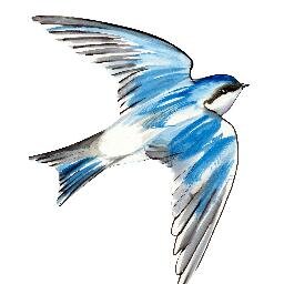 EnglishHouseS's profile picture. Representing Hodder Education in St Lucia & Grenada