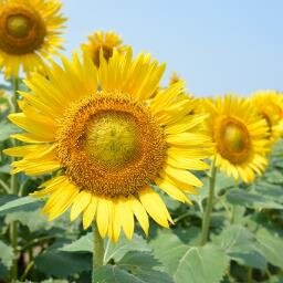 関西在住のゆるゆる素人写真家です！※掲載している写真はモデルさんと作った大切な作品ですので無断転載や無断使用は禁止しています。ご了承の程、よろしくお願います。