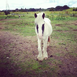 bailey_goff's profile picture. 