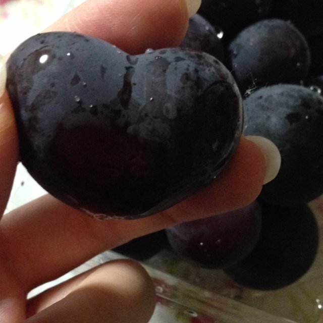 AkNozomi's profile picture. 🐼たまに日々の呟きをしてみます🥸【昔、当たってから避けていた牡蠣を好んで食べるようになりました！カキフライ限定ですがっ🦪】