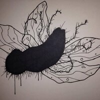The Bar & Fly (@thebarandfly) 's Twitter Profile
