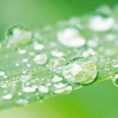 Designing and installing renewable energy heating systems for home or business