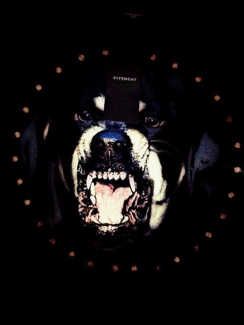 VanQuish_Teddy Profile Picture