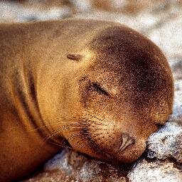 sako2kudaki's profile picture. 文学研究してます。