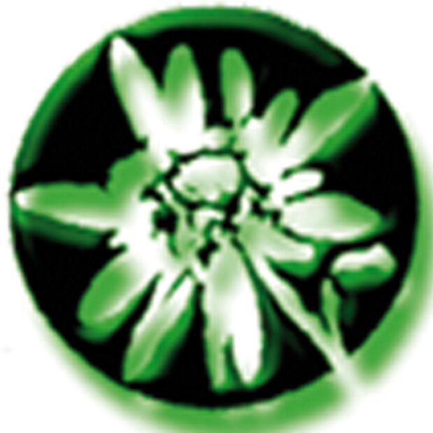 Grup Scout Edelweiss de Banyeres de Mariola (Alacant) format a l'any 1975. scoutedelweiss@gmail.com