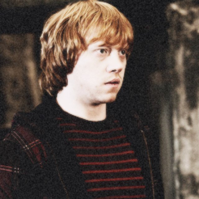 marvelpotters's profile picture. hello lovely! this is my saved account. please follow @potterspatronum!