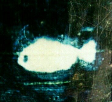 grac1a66's profile picture. ケジメ！！！！！