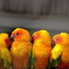 loving nature and animals..