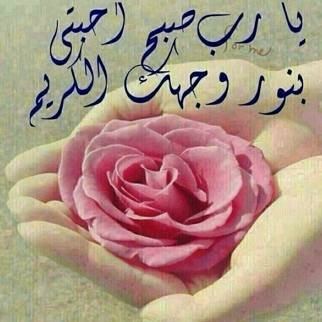 يارب  رحمتك