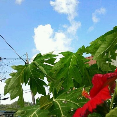 小川 秀樹 Classicstylelov Twitter