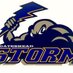 Gateshead Storm CRL (@GatesheadStorm) Twitter profile photo