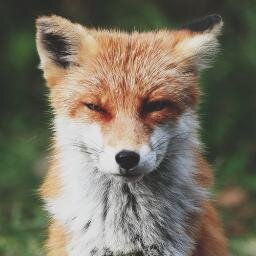 Backend Developer / Software Engineer
