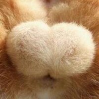 上を向いて歩こうの坂本九は子供の頃肥溜めに落ちた事があるらしい 下も向いて歩こう (@onnagumi_bot) 's Twitter Profile