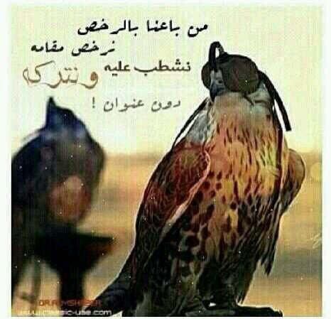 لاإله الا الله