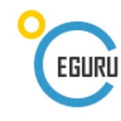 SEO Expert | Internet Marketing Consultant India