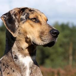 LoveIsAmore's profile picture. Unless it's mad, passionate, extraordinary love, It's a waste of your time. There are too many mediocre things in life Love shouldn't be one of them.