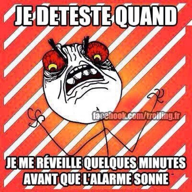 rctfPanda's profile picture. 