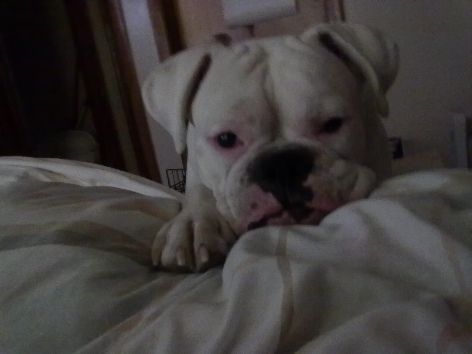 LynnPartee's profile picture. 