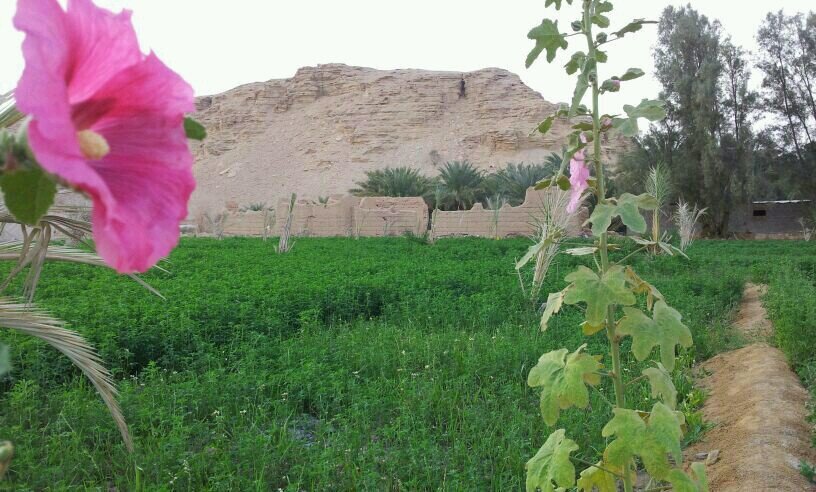 كفى بالموت واعظا..♡