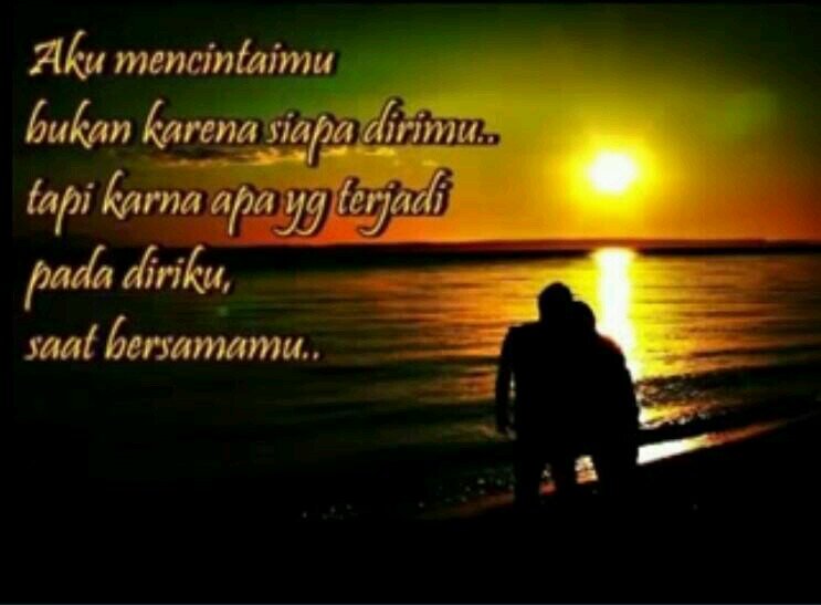 WadokaiA's profile picture. 