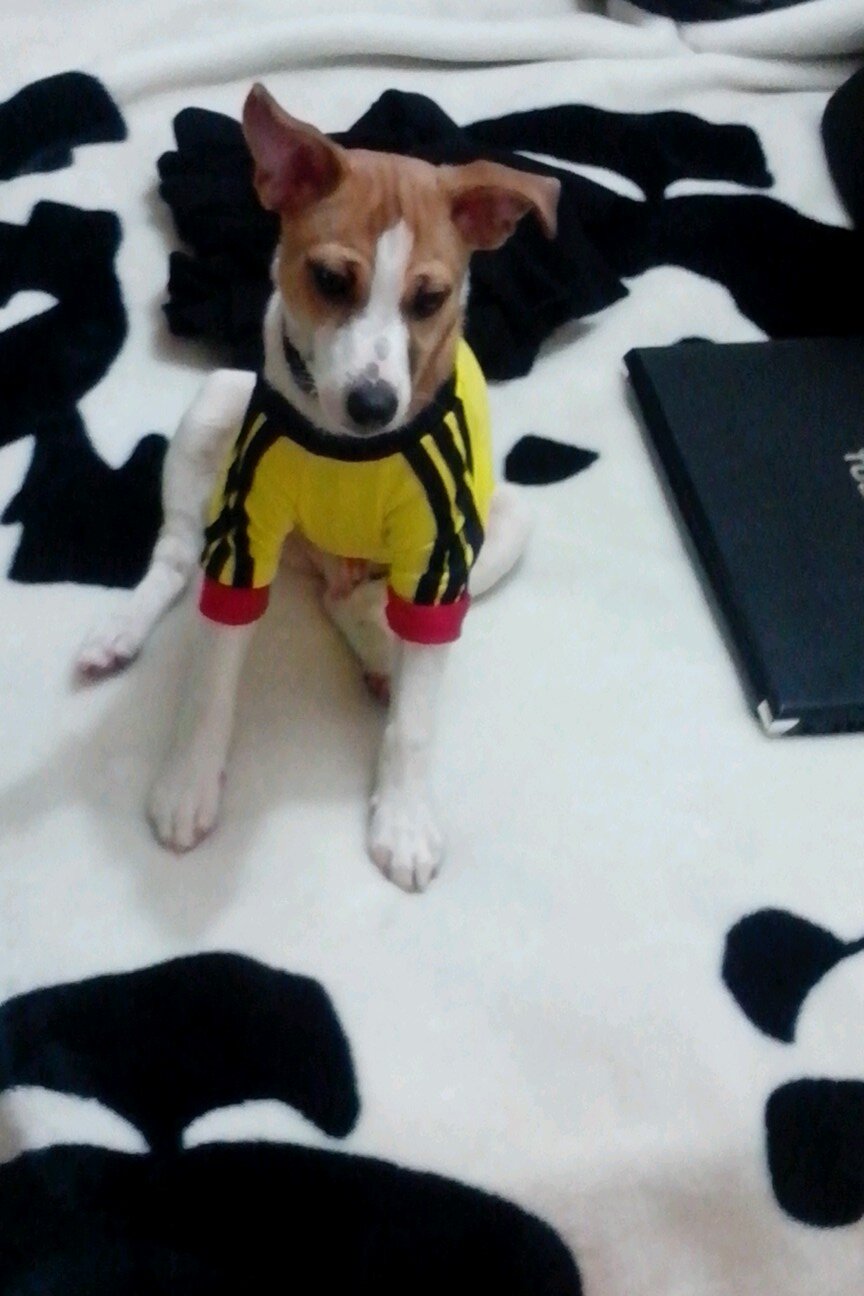 enrique_arango's profile picture. 