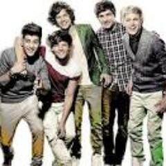 Directioner,Belieber,Restartica,Pniner 3'      dona do fco: @_PrincipePeLu                        since: 16/10/2013