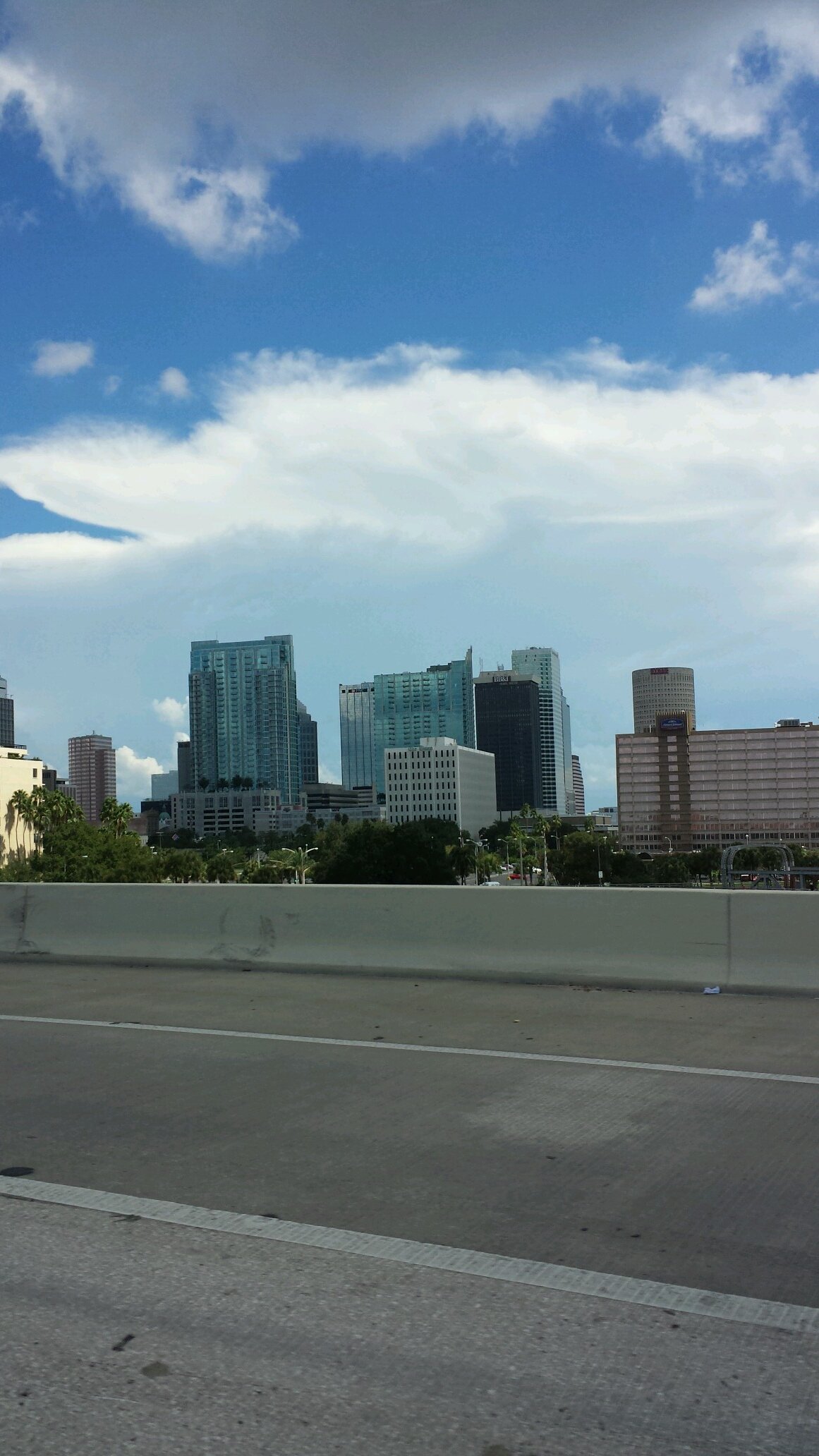 SStockin's profile picture. 