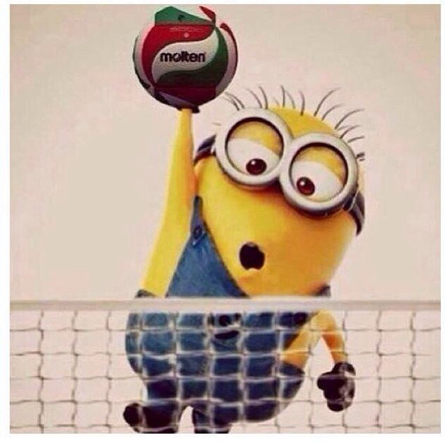 Bringing you the best in Men's and Women's Volleyball