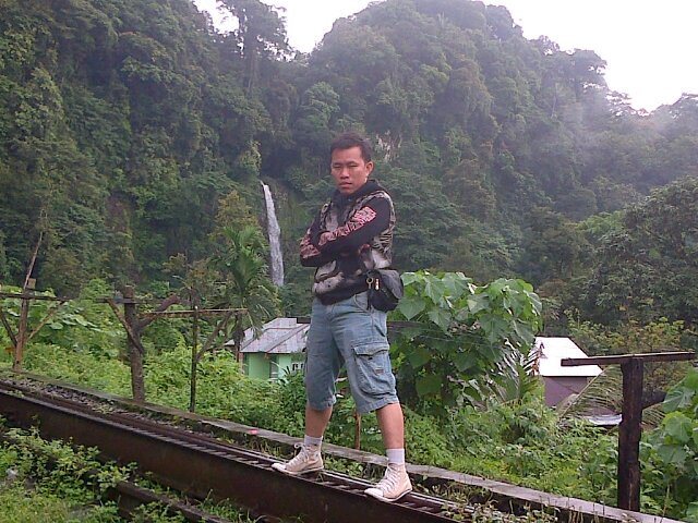 Yal_Jet's profile picture. Tiger biker