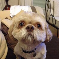 erex.hervieu (@erexh) 's Twitter Profile